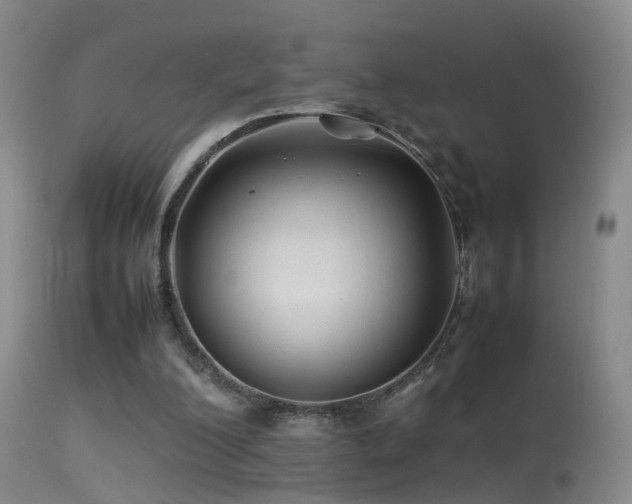 X0000113330200200909141435