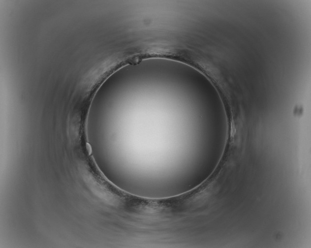 X0000113330201200909141435