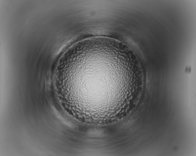 X0000113330202200909141435