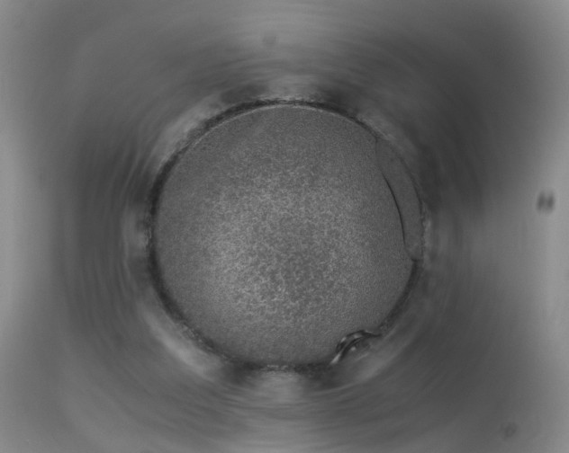 X0000113330203200909141435