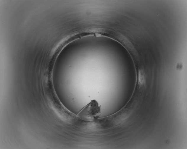 X0000113330204200909141435