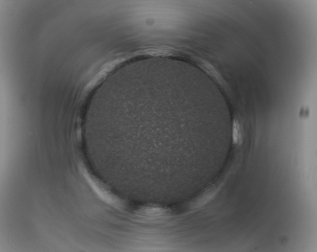 X0000113330205200909141435