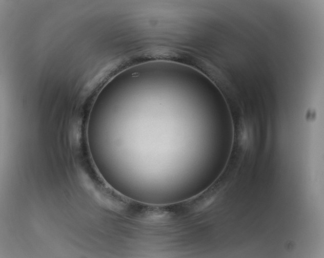 X0000113330206200909141435