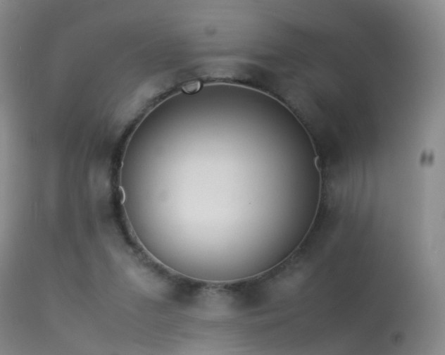 X0000113330207200909141435