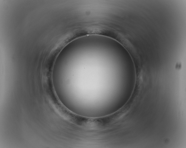 X0000113330209200909141435