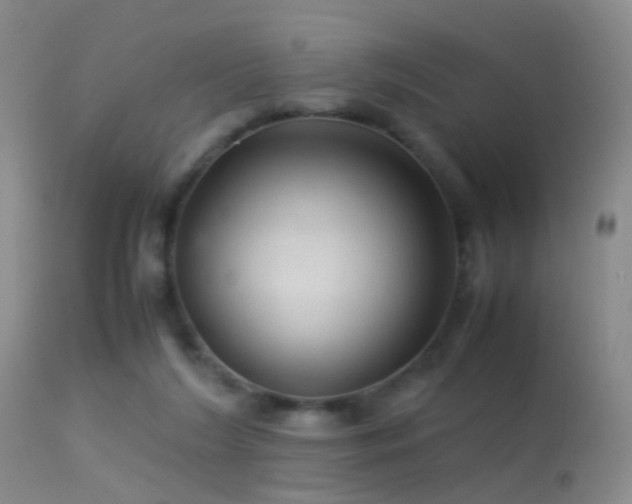 X0000113330212200909141435