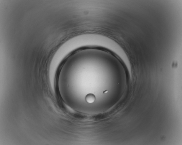 X0000113330213200909141435