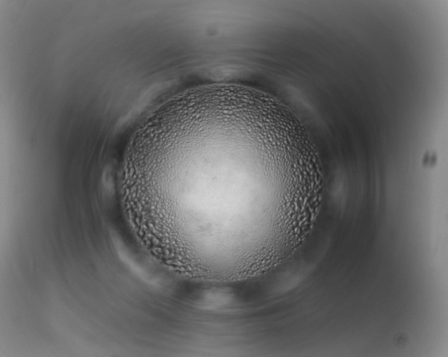 X0000113330214200909141435