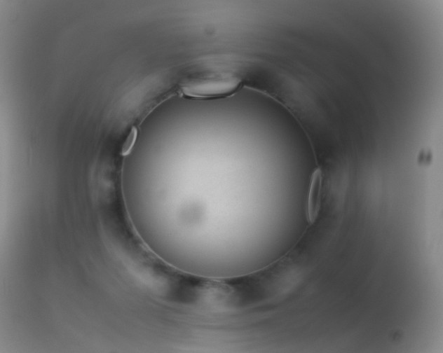 X0000113330215200909141434