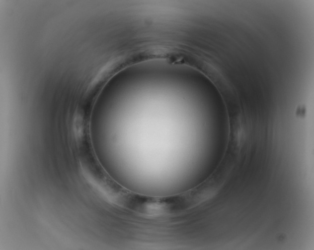 X0000113330216200909141434