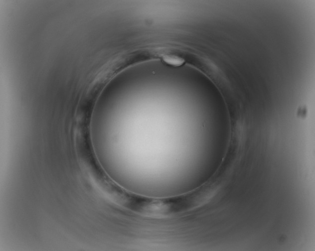X0000113330217200909141434