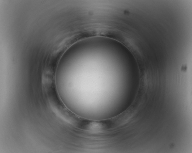 X0000113330218200909141434