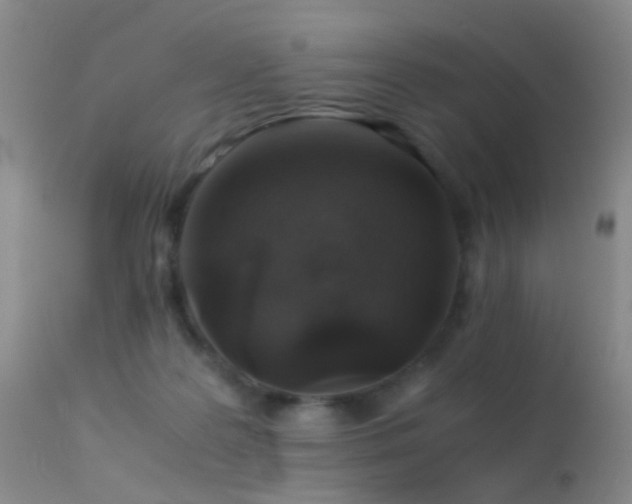 X0000113330219200909141434
