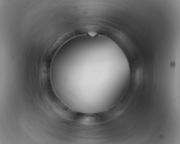 X0000113330220200909141434