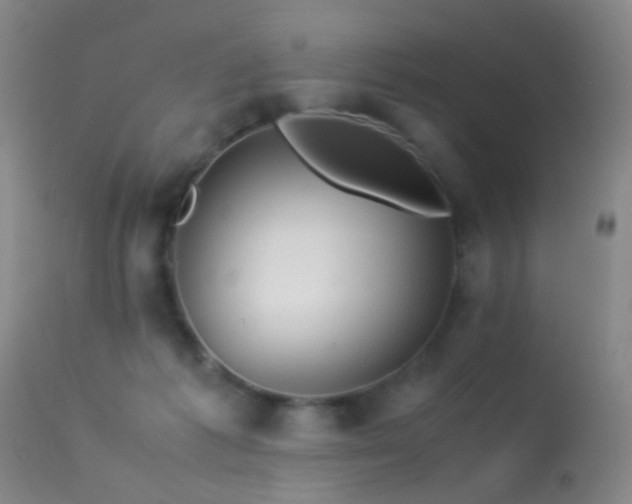 X0000113330221200909141434