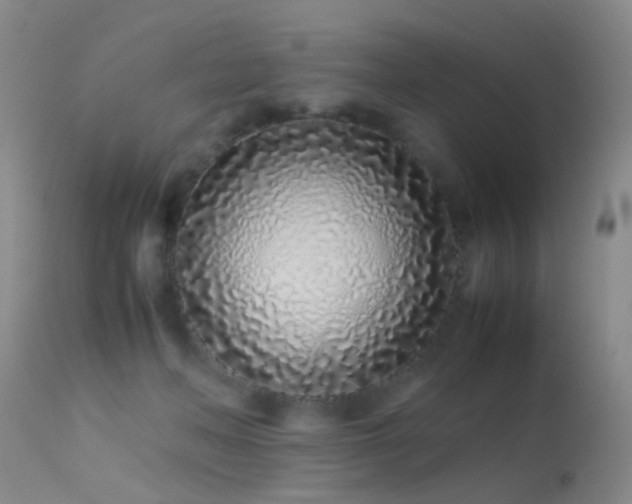 X0000113330222200909141434