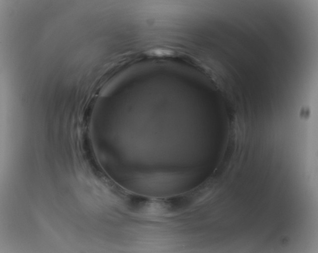 X0000113330223200909141434