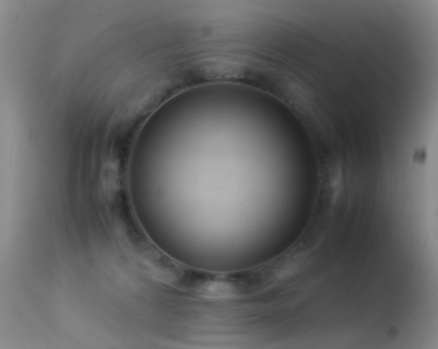 X0000113330224200909141434