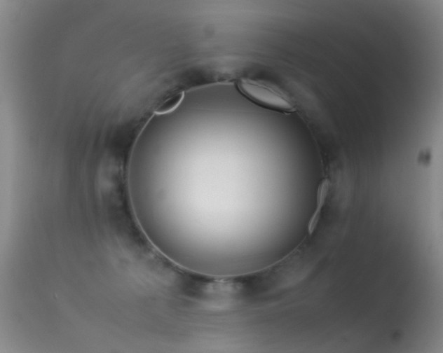 X0000113330225200909141434