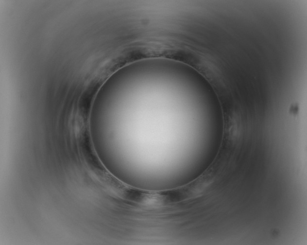 X0000113330226200909141434