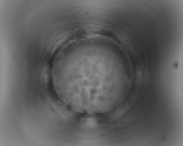 X0000113330228200909141434