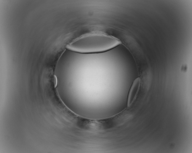 X0000113330229200909141434