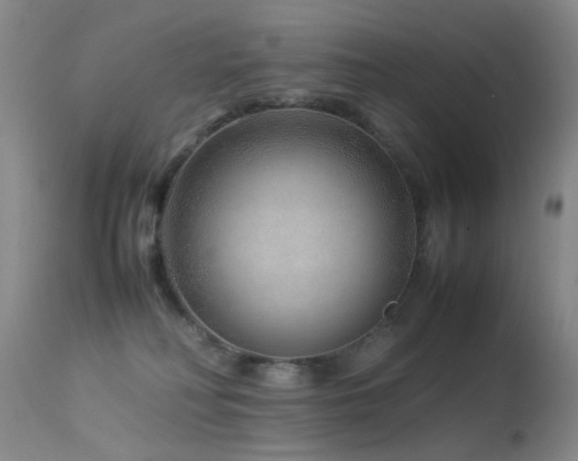 X0000113330230200909141434