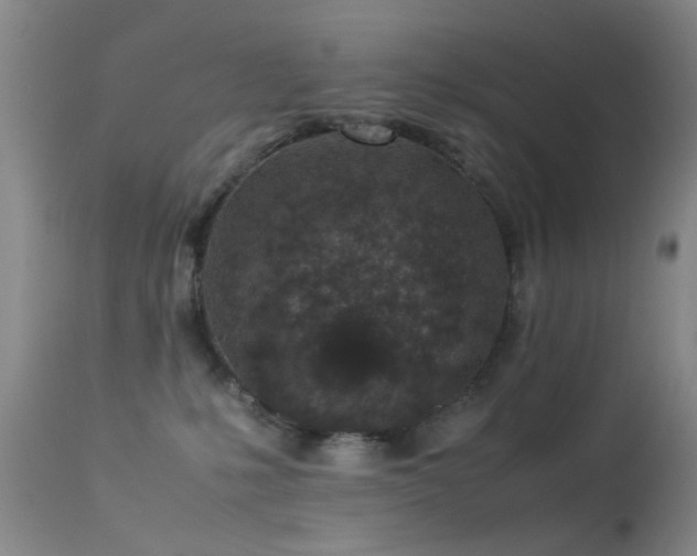 X0000113330231200909141434