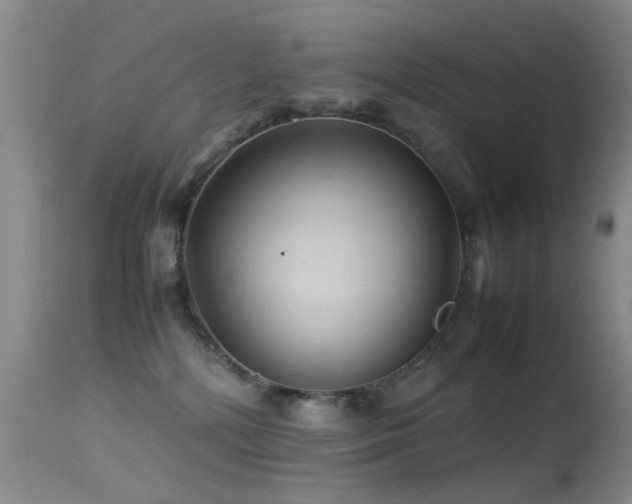 X0000113330232200909141434