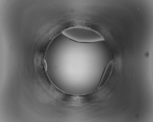 X0000113330233200909141434