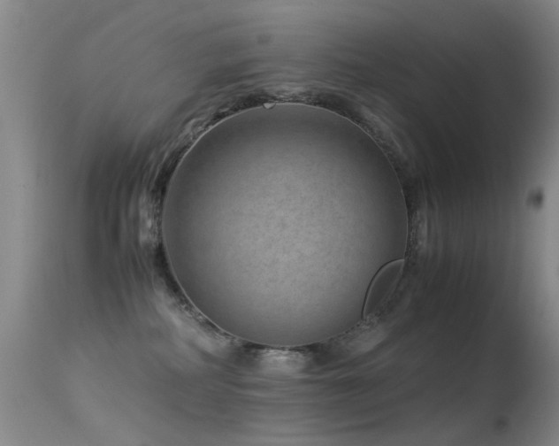 X0000113330234200909141434