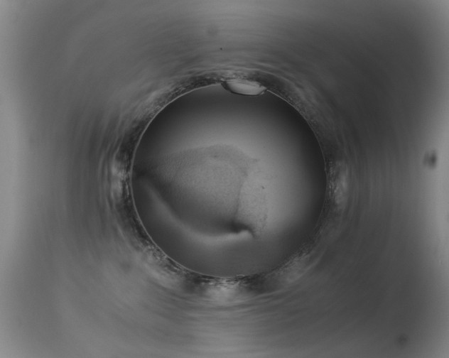 X0000113330235200909141434
