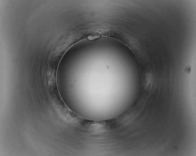 X0000113330236200909141434