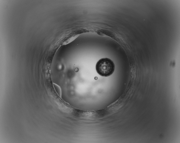 X0000113330237200909141434