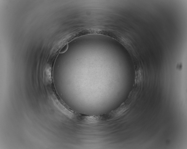 X0000113330238200909141434