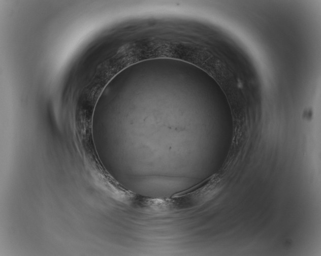 X0000113330239200909141434