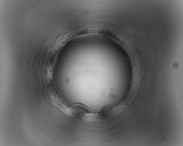 X0000113330240200909141434