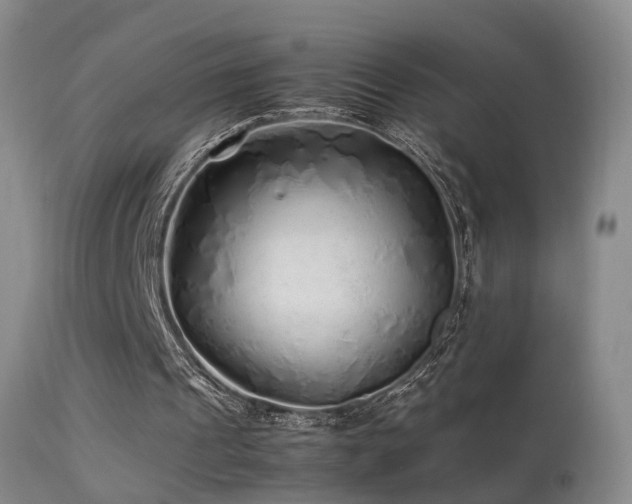 X0000113330241200909141433