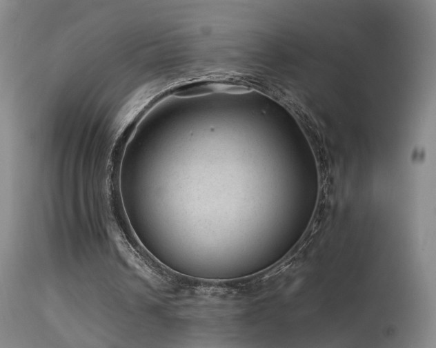 X0000113330242200909141433