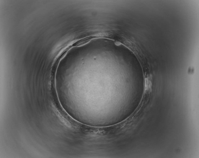 X0000113330243200909141433