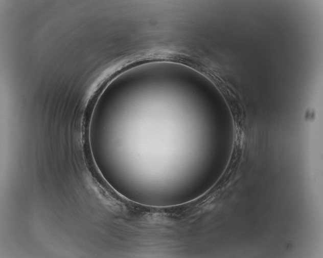 X0000113330244200909141433
