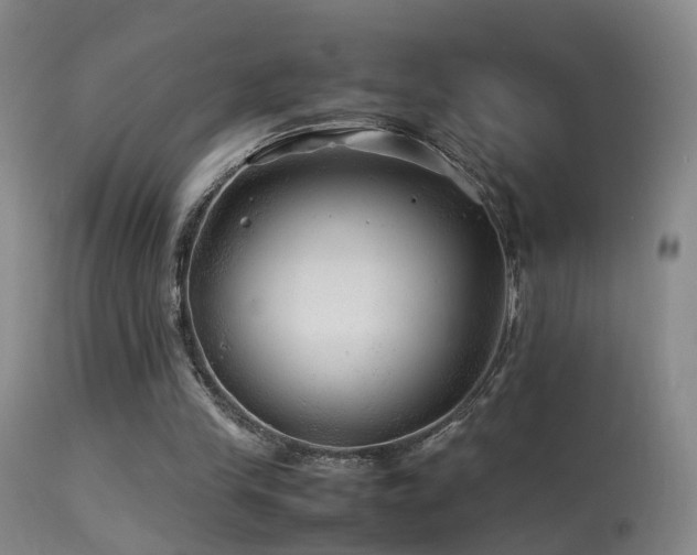 X0000113330245200909141433