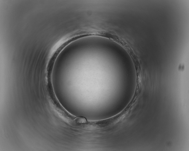 X0000113330246200909141433