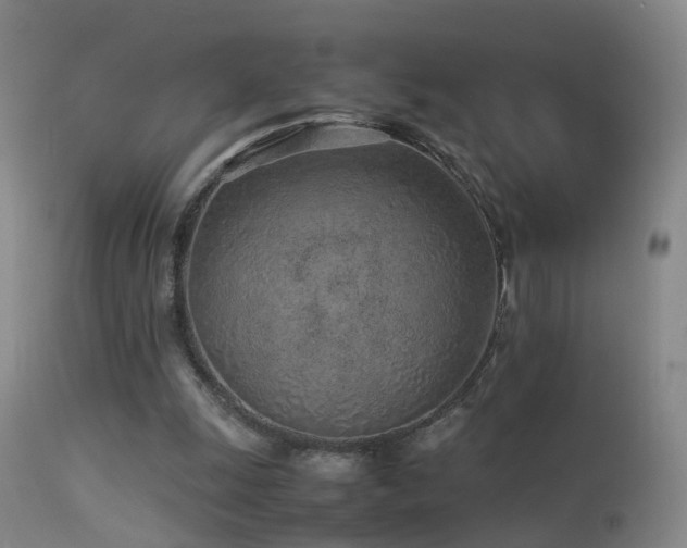 X0000113330247200909141433