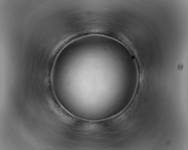 X0000113330249200909141433
