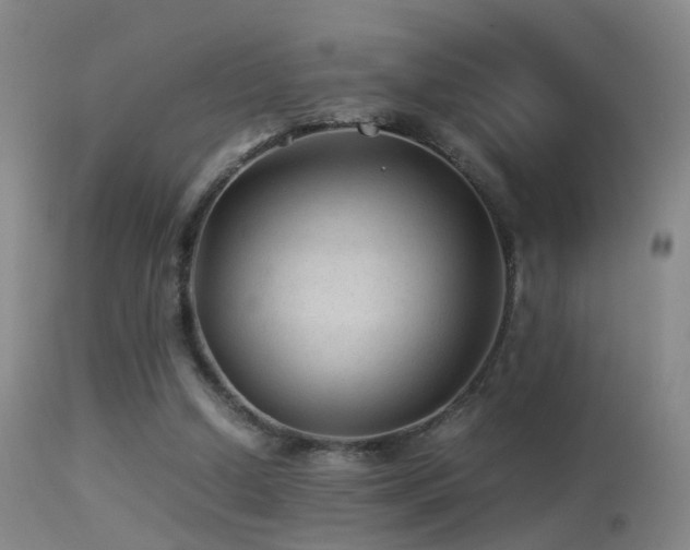 X0000113330250200909141433