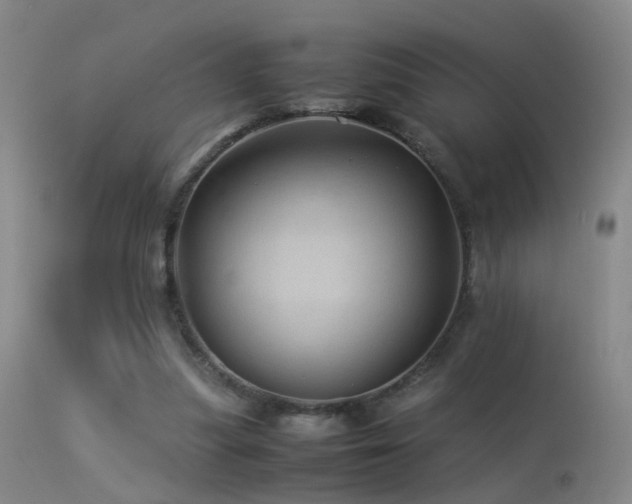 X0000113330251200909141433