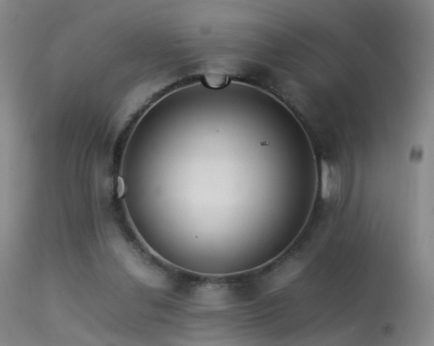 X0000113330252200909141433