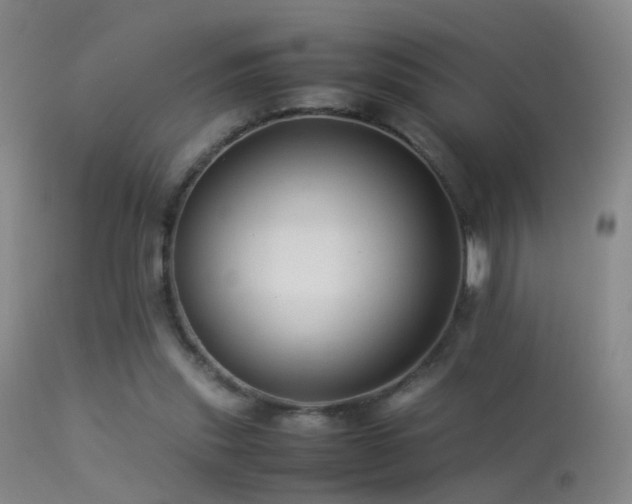 X0000113330253200909141433