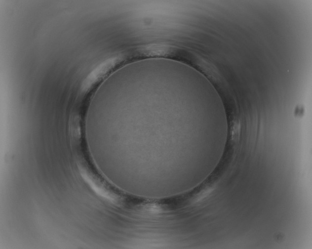X0000113330254200909141433